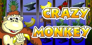 Automat do gry Crazy Monkey